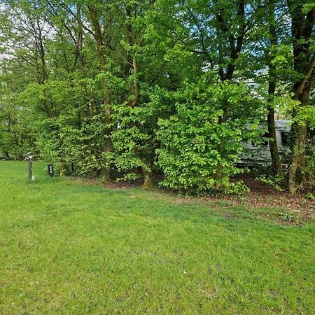 Camping Alkenhaer Appelscha Lege Kampeerplaats Exteriér fotografie