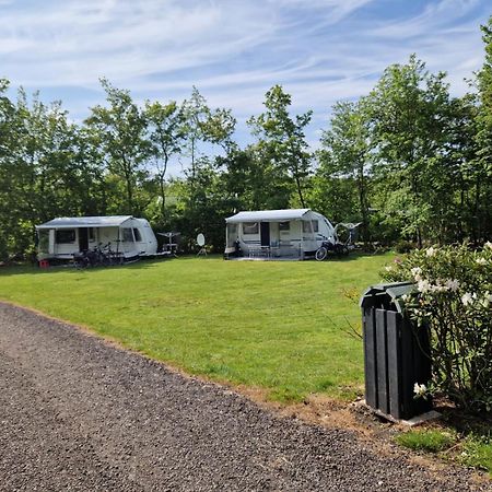 Camping Alkenhaer Appelscha Lege Kampeerplaats Exteriér fotografie