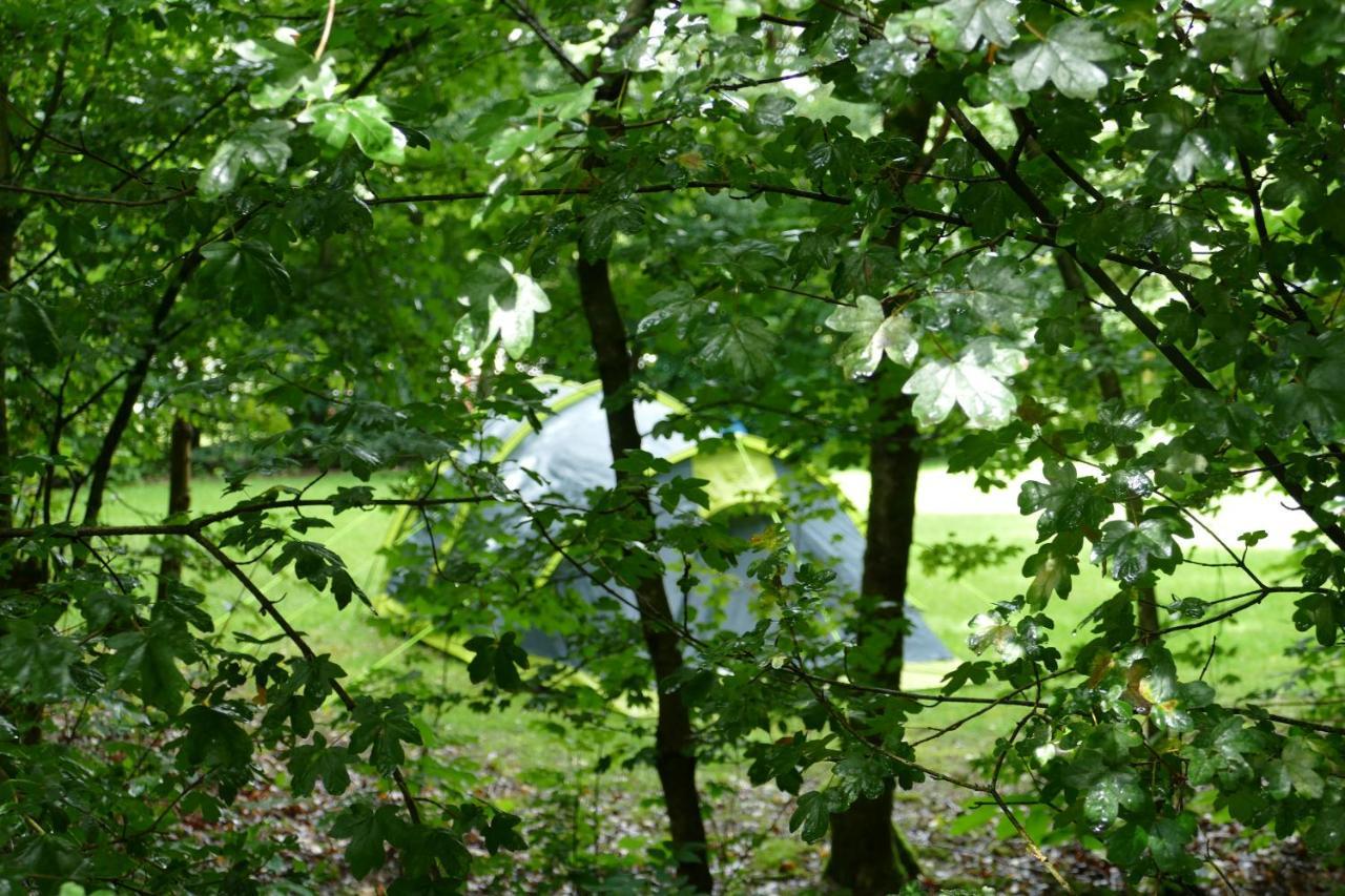 Camping Alkenhaer Appelscha Lege Kampeerplaats Exteriér fotografie
