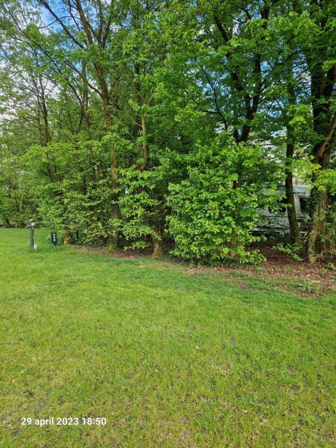 Camping Alkenhaer Appelscha Lege Kampeerplaats Exteriér fotografie